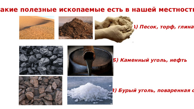Какие полезные ископаемые есть в нашей местности? А) Песок, торф, глина Б) Каменный уголь, нефть В) Бурый уголь, поваренная соль 