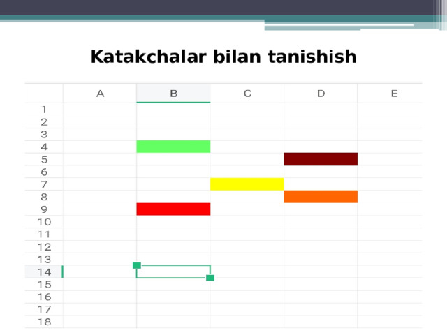 Katakchalar bilan tanishish 