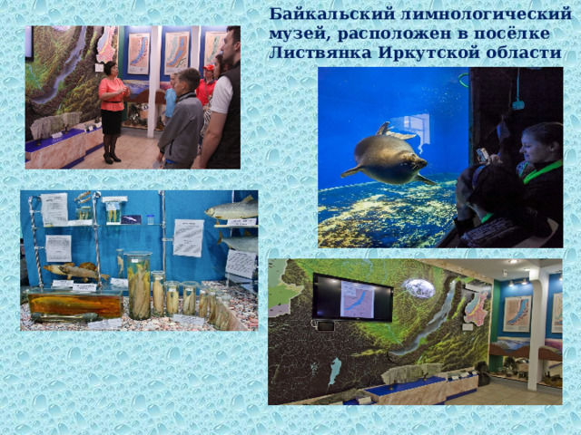 Байкальский лимнологический музей, расположен в посёлке Листвянка Иркутской области 