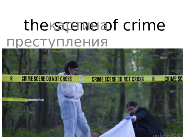 the scene of crime картина преступления 