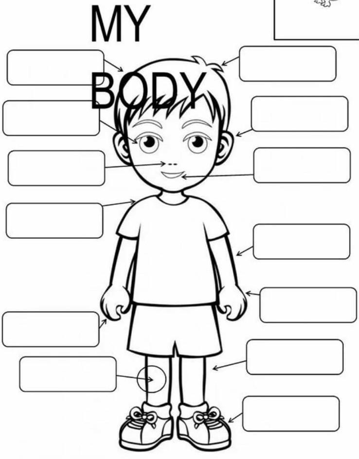 Parts of school. Parts of the body Worksheets for Kids. Части тела на английском задания. Parts of body задания для детей. Части тела на английском раскраска.