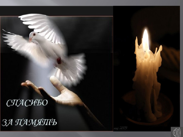 В 19:00 27 января в окнах петербуржцев зажгутся свечи в память о героических защитниках Ленинграда, а по каналам оповещения МЧС в это время будет звучать метроном. 