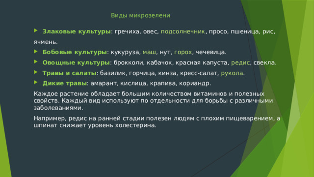 Виды микрозелени Злаковые культуры : гречиха, овес, подсолнечник , просо, пшеница, рис, ячмень. Бобовые культуры : кукуруза, маш , нут, горох , чечевица. Овощные культуры : брокколи, кабачок, красная капуста, редис , свекла. Травы и салаты : базилик, горчица, кинза, кресс-салат, рукола . Дикие травы : амарант, кислица, крапива, кориандр. Каждое растение обладает большим количеством витаминов и полезных свойств. Каждый вид используют по отдельности для борьбы с различными заболеваниями. Например, редис на ранней стадии полезен людям с плохим пищеварением, а шпинат снижает уровень холестерина. 