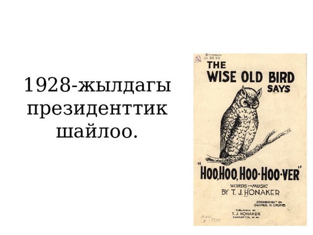 1928-жылдагы президенттик шайлоо. 