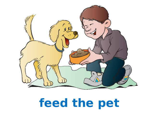 feed the pet 