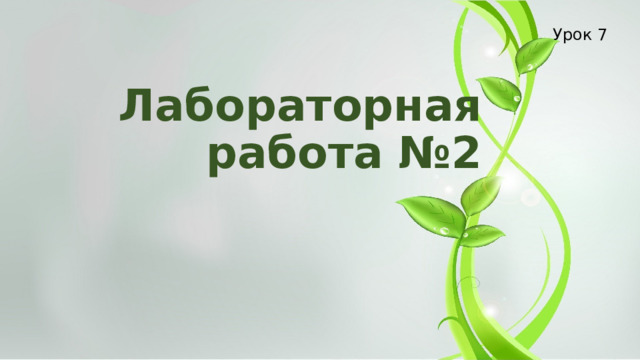 Урок 7 Лабораторная работа №2 
