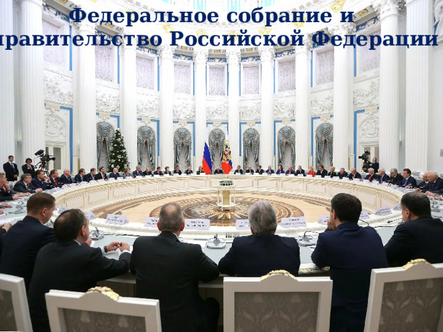 Федеральное собрание и правительство Российской Федерации 
