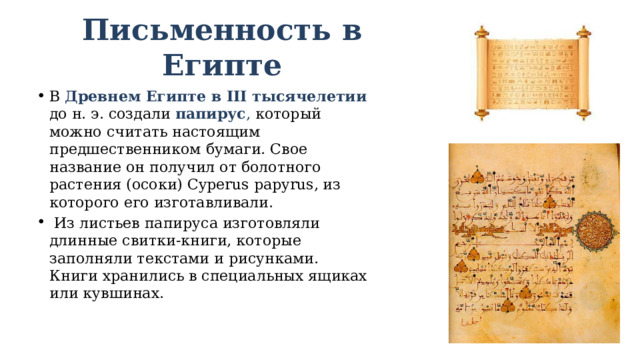 Письменность в Египте В Древнем Египте в III тысячелетии до н. э. создали  папирус , который можно считать настоящим предшественником бумаги. Свое название он получил от болотного растения (осоки) Cyperus papyrus, из которого его изготавливали.  Из листьев папируса изготовляли длинные свитки-книги, которые заполняли текстами и рисунками. Книги хранились в специальных ящиках или кувшинах. 