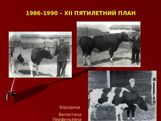 1986-1990 – XII ПЯТИЛЕТНИЙ ПЛАН Бородина Валентина Перфильевна  