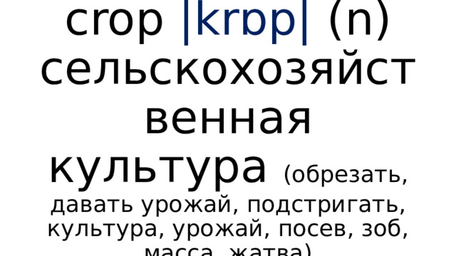 crop |krɒp| (n) сельскохозяйственная культура ( обрезать, давать урожай, подстригать, культура, урожай, посев, зоб, масса, жатва ) 