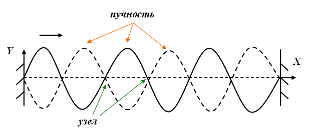 Бегущая отраженная стоячая волны. Узлы и пучности стоячей волны. Стоячая звуковая волна. Стоячие волны физика. Стоячая волна рисунок.