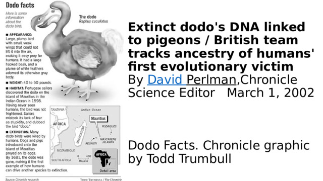 Extinct dodo's DNA linked to pigeons / British team tracks ancestry of humans' first evolutionary victim  By  David Perlman ,Chronicle Science Editor March 1, 2002     Dodo Facts. Chronicle graphic by Todd Trumbull 