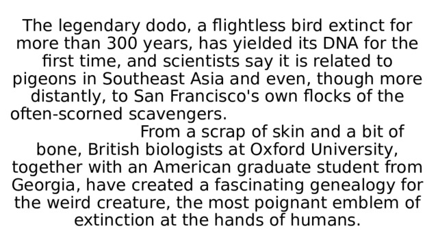 The legendary dodo, a flightless bird extinct for more than 300 years, has yielded its DNA for the first time, and scientists say it is related to pigeons in Southeast Asia and even, though more distantly, to San Francisco's own flocks of the often-scorned scavengers. From a scrap of skin and a bit of bone, British biologists at Oxford University, together with an American graduate student from Georgia, have created a fascinating genealogy for the weird creature, the most poignant emblem of extinction at the hands of humans. 