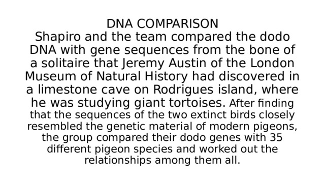 DNA COMPARISON  Shapiro and the team compared the dodo DNA with gene sequences from the bone of a solitaire that Jeremy Austin of the London Museum of Natural History had discovered in a limestone cave on Rodrigues island, where he was studying giant tortoises. After finding that the sequences of the two extinct birds closely resembled the genetic material of modern pigeons, the group compared their dodo genes with 35 different pigeon species and worked out the relationships among them all. 