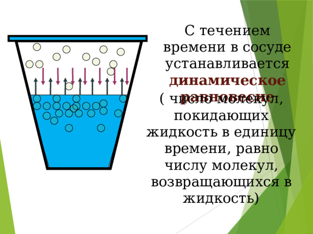 С течением времени в сосуде устанавливается динамическое равновесие ( число молекул, покидающих жидкость в единицу времени, равно числу молекул, возвращающихся в жидкость)  
