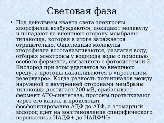 Световая фаза Под действием кванта света электроны хлорофилла возбуждаются, покидают молекулу и попадают на внешнюю сторону мембраны тилакоида, которая в итоге заряжается отрицательно. Окисленные молекулы хлорофилла восстанавливаются, разлагая воду, отбирая электроны у водорода воды с помощью особого фермента, связанного с фотосистемой-2. Кислород при этом удаляется во внешнюю среду, а протоны накапливаются в «протонном резервуаре». Когда разность потенциалов между наружной и внутренней сторонами мембраны тилакоида достигает 200 мВ, срабатывает фермент АТФ-синтетаза, протоны проталкивают через его канал, и происходит фосфорилирование АДФ до АТФ, а атомарный водород идет на восстановление специфического переносчика НАДФ+ до НАДФ*Н 2 . 