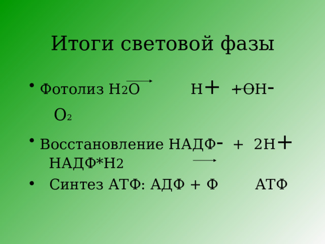 Итоги световой фазы Фотолиз Н 2 О Н + +ОН - О 2 Восстановление НАДФ - + 2Н + НАДФ*Н 2  Синтез АТФ: АДФ + Ф АТФ  