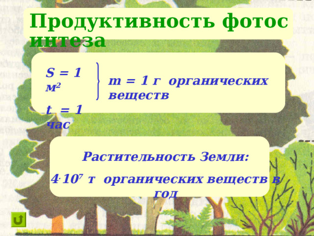 Продуктивность фотосинтеза S = 1 м 2 t = 1 час m = 1 г органических веществ Растительность Земли: 4 . 10 7 т органических веществ в год  