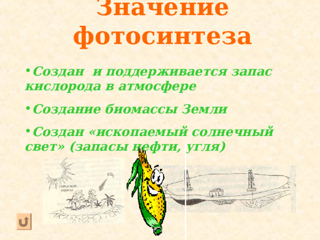Значение фотосинтеза Создан и поддерживается запас кислорода в атмосфере Создание биомассы Земли Создан «ископаемый солнечный свет» (запасы нефти, угля)   