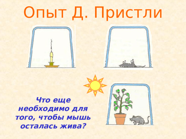 Опыт Д. Пристли Что еще необходимо для того, чтобы мышь осталась жива?  