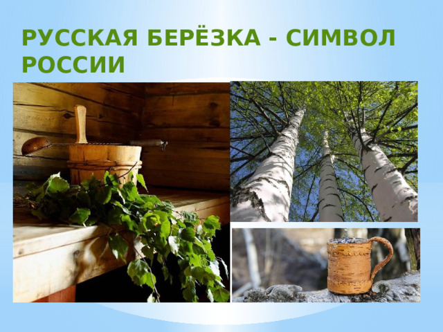 РУССКАЯ БЕРЁЗКА - СИМВОЛ РОССИИ 