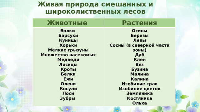 Живая природа смешанных и широколиственных лесов Животные Растения Волки Барсуки Осины Куницы Березы Хорьки Липы Мелкие грызуны Сосны (в северной части зоны) Множество насекомых Дуб Клен Медведи Лисицы Вяз Бузина Кроты Малина Белки Калина Ежи Олени Изобилие трав Изобилие цветов Косули Земляника Лоси Зубры Костяника Ольха 