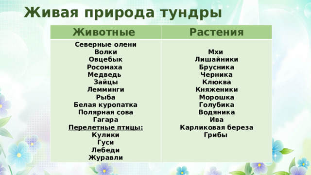 Живая природа тундры Животные Растения Северные олени Волки  Овцебык Мхи Лишайники Росомаха Медведь Брусника Зайцы Черника Лемминги Клюква Княженики Рыба Белая куропатка Морошка Полярная сова Голубика Водяника Гагара Ива Перелетные птицы: Карликовая береза Кулики Грибы Гуси Лебеди Журавли 