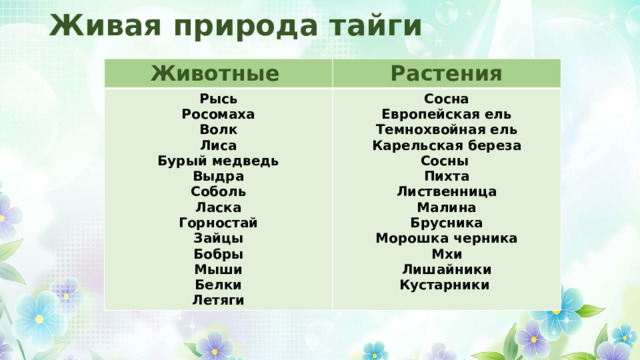 Живая природа тайги Животные Растения Рысь Росомаха Сосна Волк Европейская ель Лиса Темнохвойная ель Бурый медведь Карельская береза Сосны Выдра Соболь Пихта Лиственница Ласка Малина Горностай Брусника Зайцы Морошка черника Бобры Мхи Мыши Лишайники Белки Летяги Кустарники  