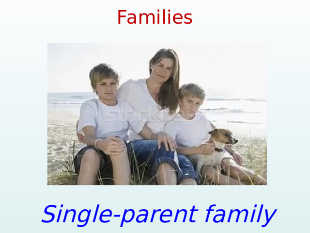 Families Single-parent family  