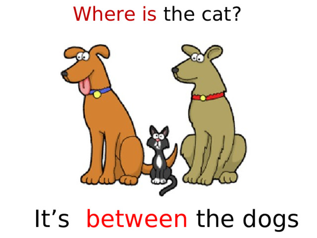 Where is the cat?  It’s between the dogs  