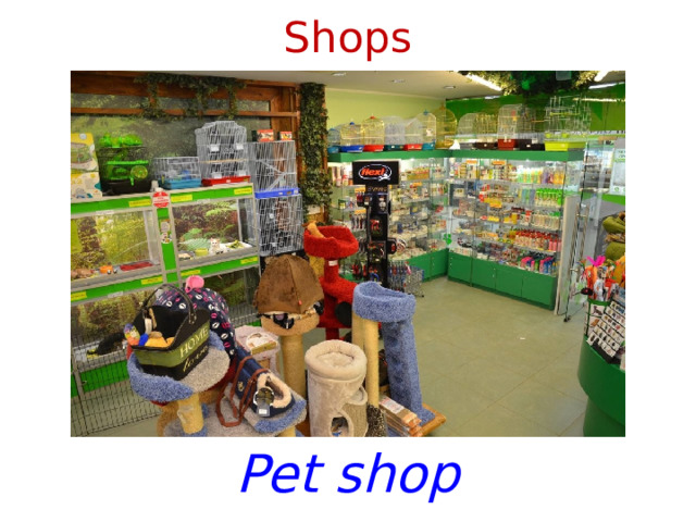 Shops Pet shop 