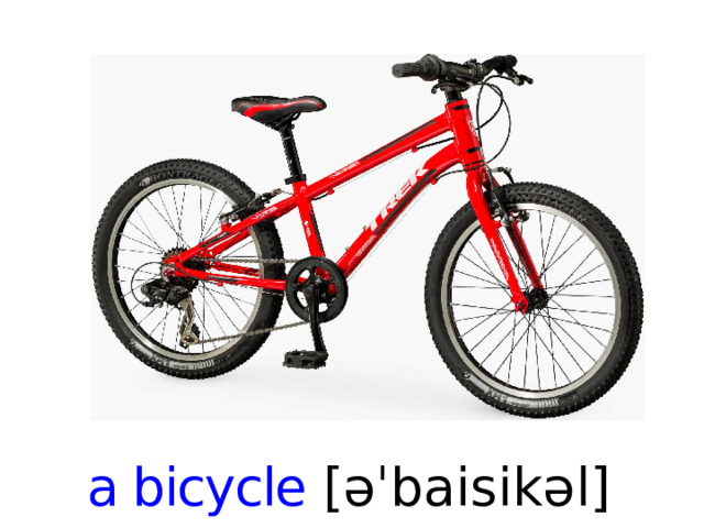 a bicycle [ əˈbaisikəl ]   