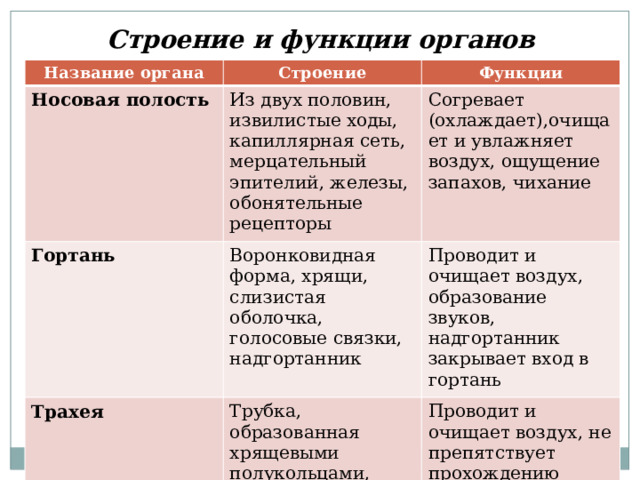 Строение и функции органов дыхания Название органа Строение Носовая полость Функции Из двух половин, извилистые ходы, капиллярная сеть, мерцательный эпителий, железы, обонятельные рецепторы Гортань Согревает (охлаждает),очищает и увлажняет воздух, ощущение запахов, чихание Воронковидная форма, хрящи, слизистая оболочка, голосовые связки, надгортанник Трахея Проводит и очищает воздух, образование звуков, надгортанник закрывает вход в гортань Трубка, образованная хрящевыми полукольцами, задняя стенка мягкая, слизистая оболочка Проводит и очищает воздух, не препятствует прохождению пищи, кашель 