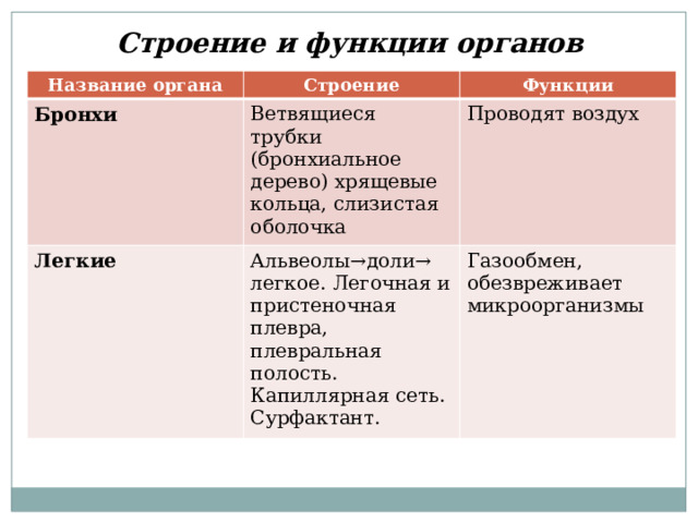 Строение и функции органов дыхания Название органа Строение Бронхи Функции Ветвящиеся трубки (бронхиальное дерево) хрящевые кольца, слизистая оболочка Легкие Проводят воздух Альвеолы→доли→ легкое. Легочная и пристеночная плевра, плевральная полость. Капиллярная сеть. Сурфактант. Газообмен, обезвреживает микроорганизмы 