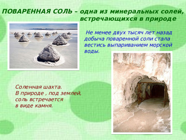 ПОВАРЕННАЯ СОЛЬ – одна из минеральных солей,  встречающихся в природе  Не менее двух тысяч лет назад добыча поваренной соли стала вестись выпариванием морской воды. Соленная шахта. В природе , под землей, соль встречается в виде камня.  