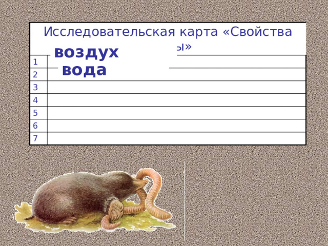 Исследовательская карта «Свойства почвы» 1 2 3 4 5 6 7 воздух вода 