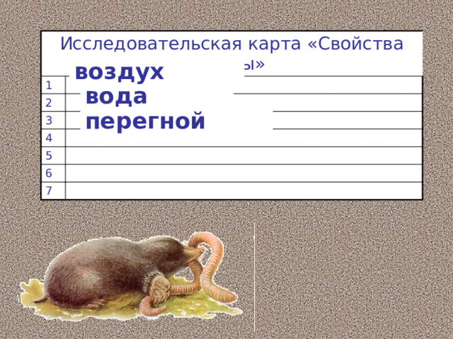 Исследовательская карта «Свойства почвы» 1 2 3 4 5 6 7 воздух вода перегной 
