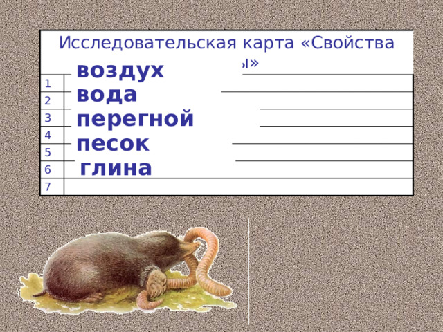 Исследовательская карта «Свойства почвы» 1 2 3 4 5 6 7 воздух вода перегной песок глина 