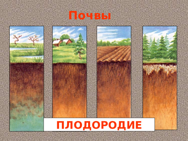 Почвы ПЛОДОРОДИЕ 