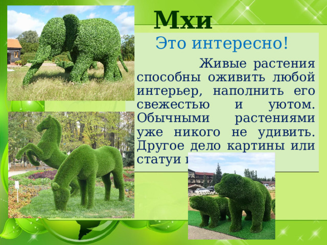 Мхи Это интересно!  Живые растения способны оживить любой интерьер, наполнить его свежестью и уютом. Обычными растениями уже никого не удивить. Другое дело картины или статуи из мха! 
