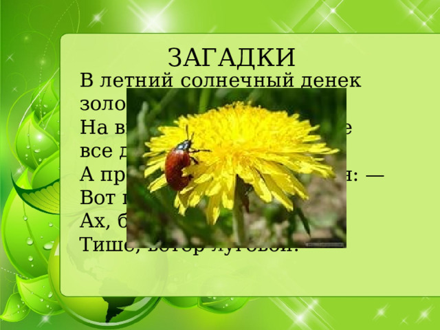 ЗАГАДКИ В летний солнечный денек золотой расцвел цветок,   На высокой тонкой ножке все дремал он у дорожки,   А проснулся — улыбнулся: — Вот пушистый я какой,   Ах, боюсь, что разлечусь. Тише, ветер луговой!   