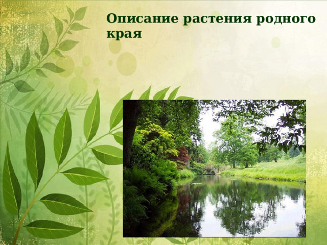 Описание растения родного края 