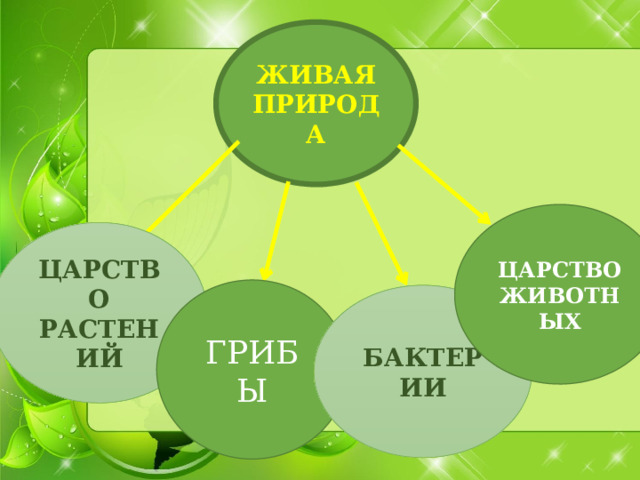ЖИВАЯ ПРИРОДА ЦАРСТВО  ЖИВОТНЫХ   ЦАРСТВО РАСТЕНИЙ ГРИБЫ БАКТЕРИИ 