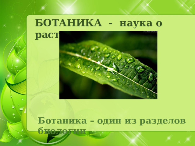 БОТАНИКА - наука о растениях Ботаника – один из разделов биологии 