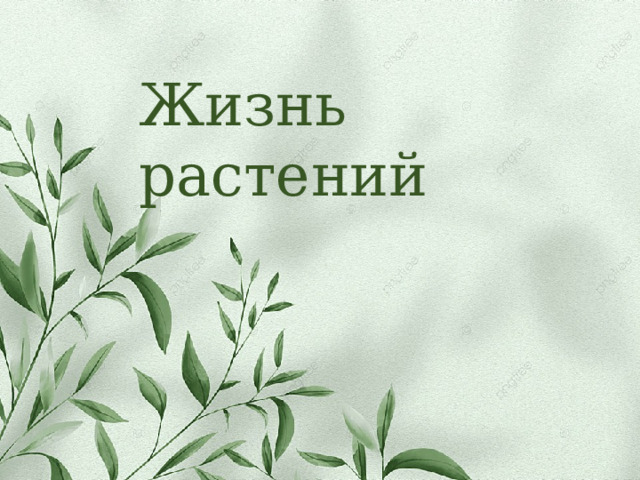 Жизнь растений 