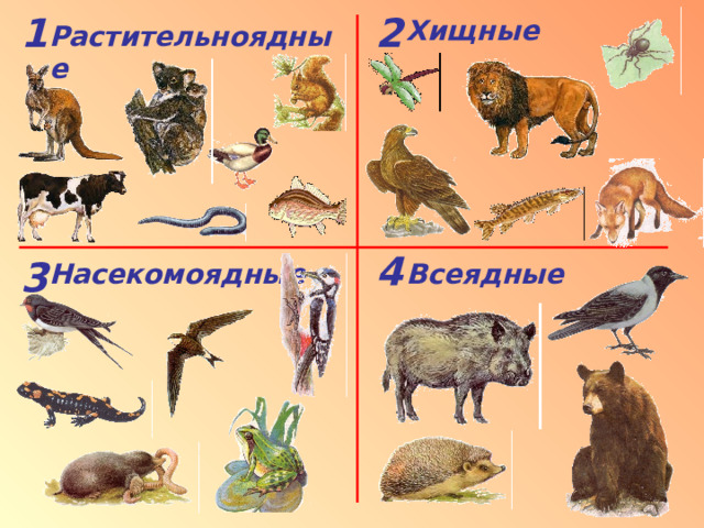 Хищные 1 2 Растительноядные Всеядные 4 Насекомоядные 3 