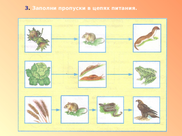 З . Заполни пропуски в цепях питания. 