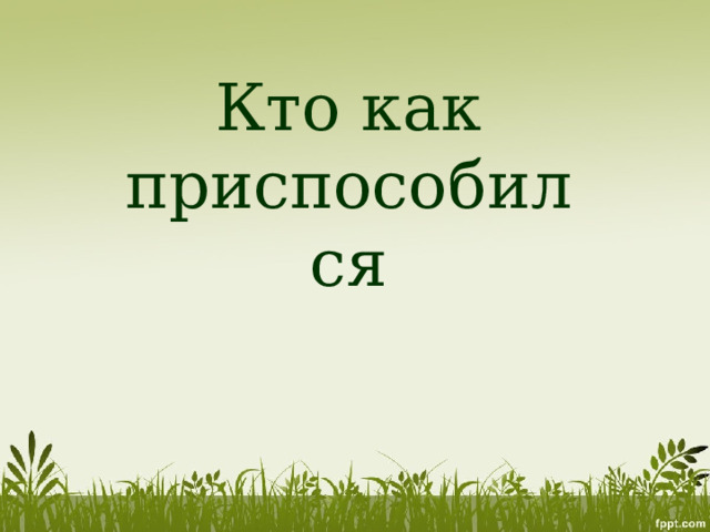 Кто как приспособился 