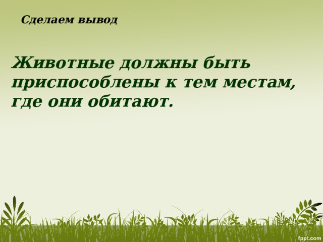 Сделаем вывод Животные должны быть приспособлены к тем местам, где они обитают. 