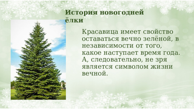 История новогодней ёлки Красавица имеет свойство оставаться вечно зелёной, в независимости от того, какое наступает время года.  А, следовательно, не зря является символом жизни вечной.   